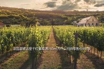 法國嘉德古堡干紅葡萄酒750ml為什么掃碼零售價(jià)800多