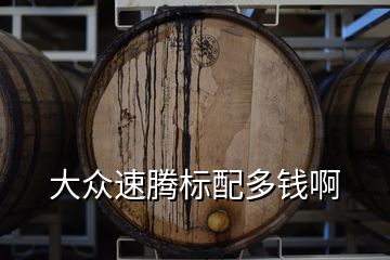 大眾速騰標(biāo)配多錢啊