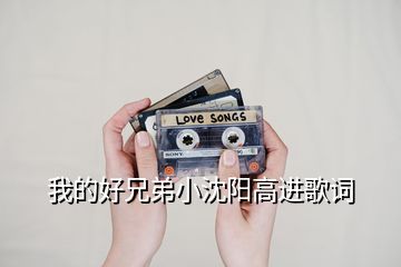 我的好兄弟小沈陽高進歌詞