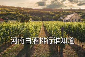 河南白酒排行誰知道