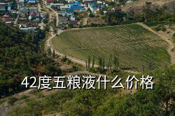 42度五糧液什么價(jià)格