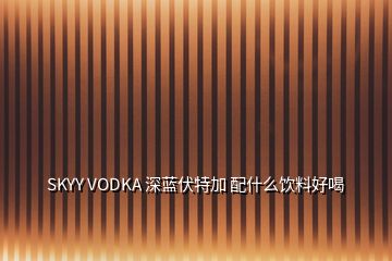 SKYY VODKA 深藍(lán)伏特加 配什么飲料好喝