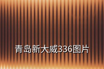 青島新大威336圖片