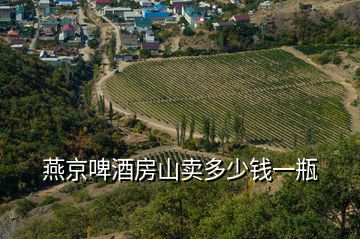 燕京啤酒房山賣多少錢一瓶