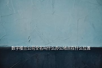 數(shù)字樓蘭公司全名叫什么辦公地點在什么位置