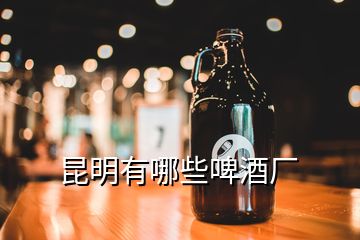 昆明有哪些啤酒廠