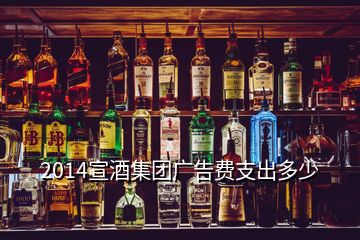 2014宣酒集團廣告費支出多少