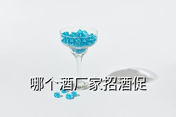 哪個(gè)酒廠家招酒促