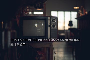 CHATEAU PONT DE PIERRE LUSSACSAINEMILION 是什么酒產