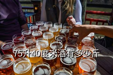 75升40度米酒有多少斤