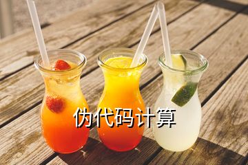 偽代碼計(jì)算