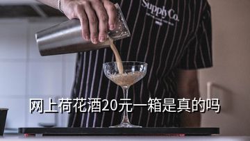 網(wǎng)上荷花酒20元一箱是真的嗎