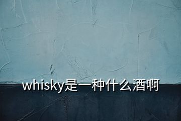 whisky是一種什么酒啊