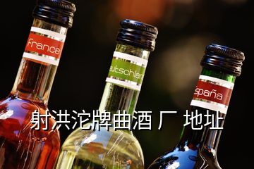 射洪沱牌曲酒 廠 地址