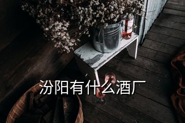 汾陽(yáng)有什么酒廠