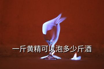 一斤黃精可以泡多少斤酒