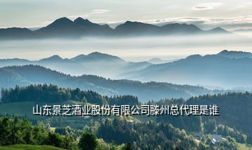 山東景芝酒業(yè)股份有限公司滕州總代理是誰