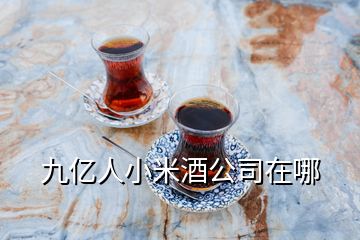 九億人小米酒公司在哪