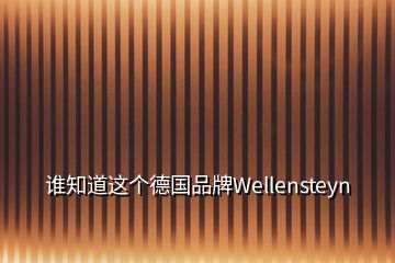 誰知道這個(gè)德國品牌Wellensteyn