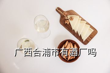 廣西合浦市有酒廠嗎