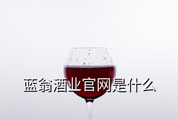 藍翁酒業(yè)官網(wǎng)是什么