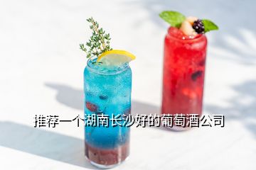 推薦一個(gè)湖南長沙好的葡萄酒公司