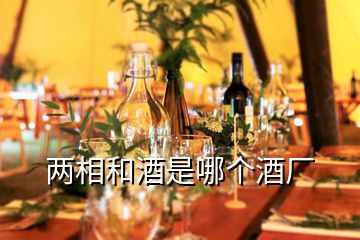 兩相和酒是哪個酒廠