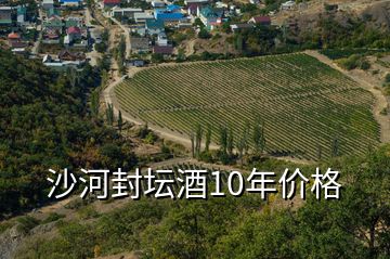 沙河封壇酒10年價格