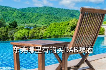 東莞哪里有的買(mǎi)DAB啤酒