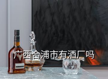 廣西合浦市有酒廠嗎