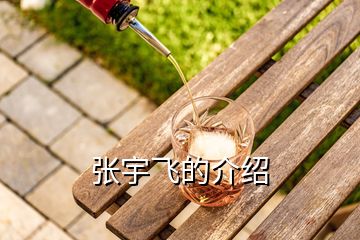 張宇飛的介紹