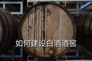 如何建設(shè)白酒酒窖