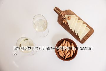 黑衣組織成員的名字都是一種酒那他們的BOSS叫什么