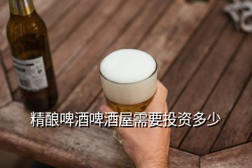 精釀啤酒啤酒屋需要投資多少