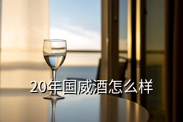 20年國(guó)威酒怎么樣