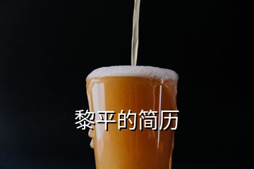 黎平的簡(jiǎn)歷