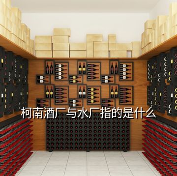 柯南酒廠與水廠指的是什么