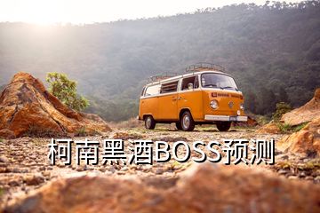 柯南黑酒BOSS預測