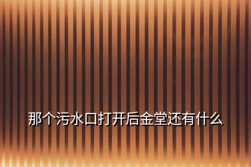 那個污水口打開后金堂還有什么