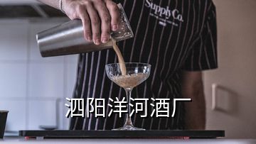 泗陽(yáng)洋河酒廠