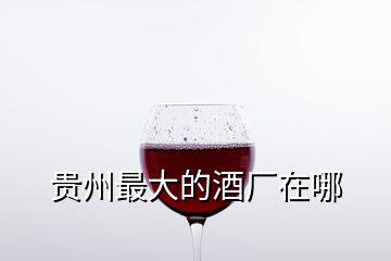 貴州最大的酒廠在哪