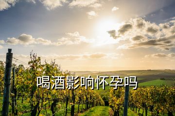 喝酒影響懷孕嗎