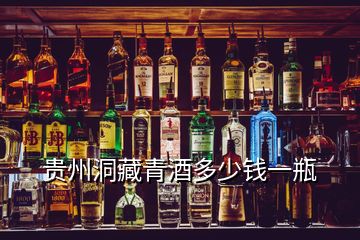 貴州洞藏青酒多少錢(qián)一瓶