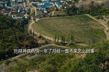 吃精神病藥快一年了月經(jīng)一直不來怎么回事