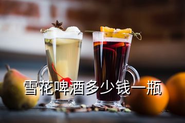 雪花啤酒多少錢(qián)一瓶