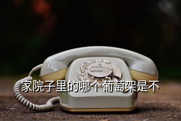 家院子里的哪個(gè)葡萄架是不