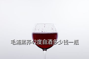 毛浦黑蕎42度自酒多少錢(qián)一瓶