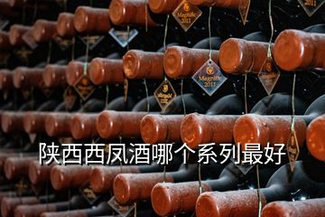 陜西西鳳酒哪個系列最好