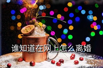 誰知道在網(wǎng)上怎么離婚