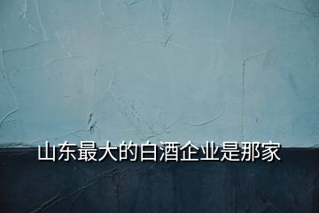 山東最大的白酒企業(yè)是那家